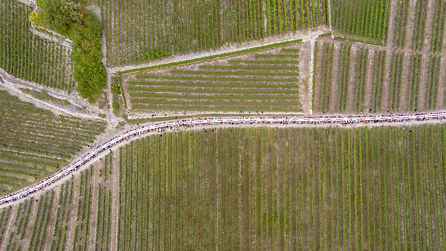 An der zweiten Auflage der Tavolata in Salgesch nahmen 360 Gäste aus der ganzen Schweiz teil.