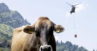 Heisser Sommer. Aufgrund der ausserordentlichen Trockenheit musste die Schweizer Armee insbesondere landwirtschaftliche Betriebe aus dem Jura mit Wasser beliefern.
