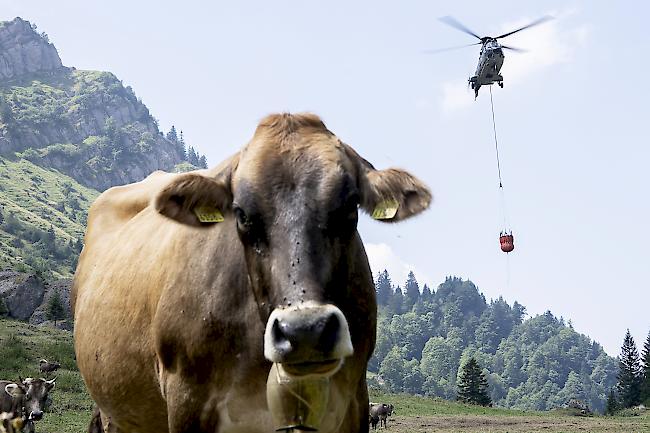 Heisser Sommer. Aufgrund der ausserordentlichen Trockenheit musste die Schweizer Armee insbesondere landwirtschaftliche Betriebe aus dem Jura mit Wasser beliefern.