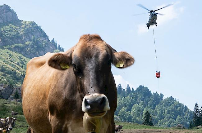 Die Armee führte fast 540 Helikopterflüge durch.