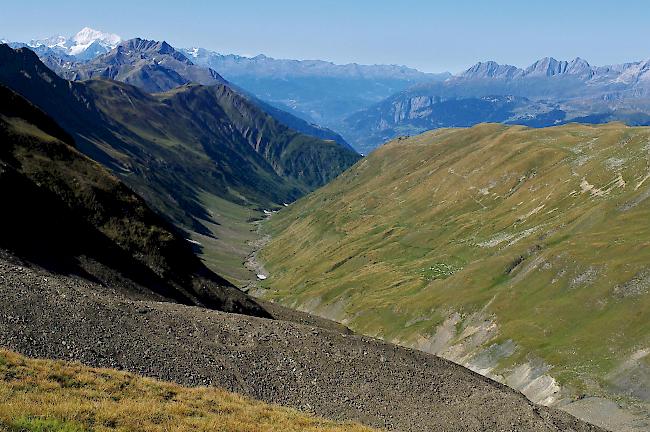 Blick ins Rappental, wo ein Wolf in den vergangenen Wochen mindestens zwei Dutzend Schafe gerissen hat. 