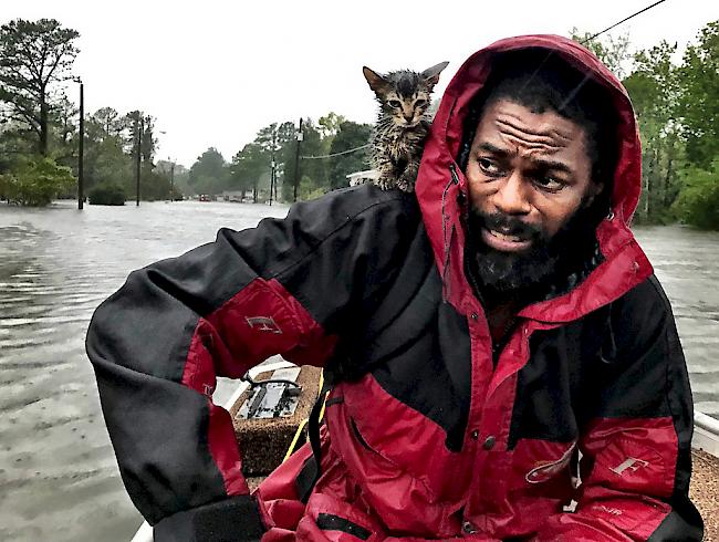 Es regnet wie aus Eimern, der Sturm peitscht das Wasser durch die Strassen: Wirbelsturm Florence hat Teile der Atlantikküste in North und South Carolina in eine Wasserlandschaft verwandelt.