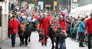 Impressionen vom Alpabzug in La Fouly im Val Ferret. 