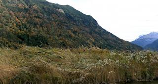 F&uuml;r die Nacht auf Montag ist eine Sturmwarnung der Stufen zwei und drei ausgesprochen worden.