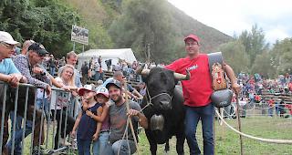 Diesj&auml;hrige Sieger in der 1. Kategorie K&uuml;he.