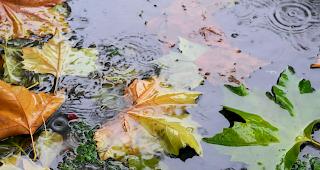 Zum Wochenbeginn gibt es immer wieder Regen und Schnee.