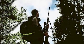 Alleine. Bei der &laquo;Wolfsjagd&raquo; m&uuml;ssen die Berufswildh&uuml;ter fortan auf die Sch&uuml;tzenhilfe der J&auml;ger verzichten.Symbolbild Keystone&nbsp;