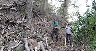 &Uuml;ber 20 Mitglieder der &laquo;Cheschtinu-Zunft&raquo; Eyholz standen am Samstag f&uuml;r die Kastanienselve im Einsatz. 