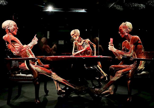 Die Ausstellung "Body Worlds" vor einem Jahr in Genf, die vom Deutschen Gunther von Hagens realisiert wurde, polarisierte ebenfalls stark. (Archiv)