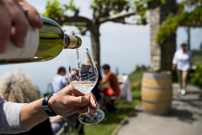 Der weltweite Weinkonsum ist im vergangenen Jahr leicht gestiegen.