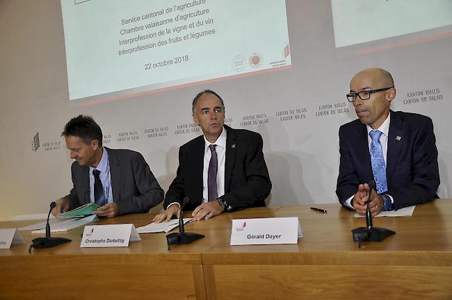 Pierre-Yves Fellay, Direktor der Walliser Landwirtschaftskammer, Staatsrat Christophe Darbellay und Gérald Dayer, Chef der Dienststelle für Landwirtschaft, präsentierten am Montag den Aktionsplan des Kantons, um die Risiken bei der Anwendung von Pflanzenschutzmitteln um die Hälfte zu reduzieren. 