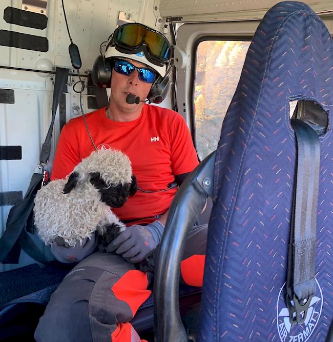 Gerettet. Flughelfer Stefan Imboden mit den Lamm auf dem Rückflug des Air-Zermatt-Helis nach Zermatt.