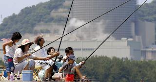 Derzeit sind in Japan acht Kernreaktoren in Betrieb (Archivbild). 