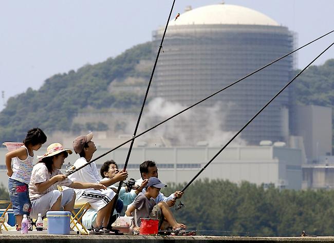 Derzeit sind in Japan acht Kernreaktoren in Betrieb (Archivbild). 