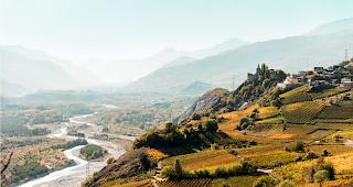 Varner Weine waren an der Weinmesse in Basel beliebt. 
