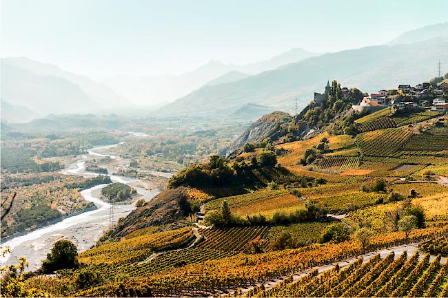 Varner Weine waren an der Weinmesse in Basel beliebt.