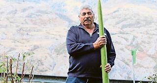 Hochgeschossen. Josef Ittig zog im vergangenen Sommer eine 186 Zentimeter lange Zucchetti.Foto WB
