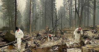 Verheerend. Die Br&auml;nde, die vorigen Donnerstag im Norden und im S&uuml;den des Staates Kalifornien ausgebrochen waren, zerst&ouml;rten bereits Hunderte Quadratkilometer Wald und Tausende H&auml;user.