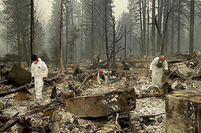 Verheerend. Die Brände, die vorigen Donnerstag im Norden und im Süden des Staates Kalifornien ausgebrochen waren, zerstörten bereits Hunderte Quadratkilometer Wald und Tausende Häuser.