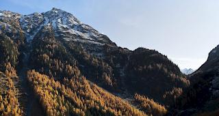 Wichtigstes Ziel bei der Bewirtschaftung: ein gesunder und stabiler Wald. 