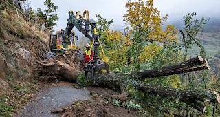Wie im Wallis (Bild) ist es auch in den W&auml;ldern Appenzell Ausserrhodens aufgrund des Sturms "Vaia" zu grossen Sch&auml;den gekommen.