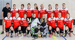 Die Visperinnen konnten einen ungef&auml;hrdeten Sieg einfahren.