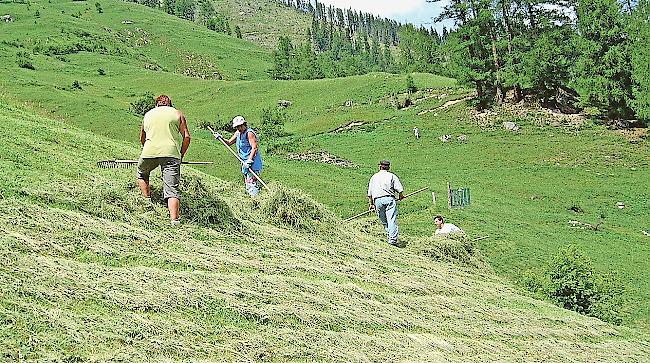 Im Lötschental sind viele Bauern mit der Zuteilung der landwirtschaftlichen Flächen im Rahmen der «Bewirtschaftsarrondierung» unzufrieden.