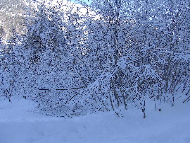 Kalt. In Ulrichen fiel das Thermometer in der Nacht auf Mittwoch auf unter minus 20 Grad.