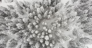 In der Nacht von Samstag auf Sonntag setzte in der ganzen Schweiz Schneefall ein. Doch nicht &uuml;berall wird sich die weisse Pracht bis Weihnachten halten k&ouml;nnen. 