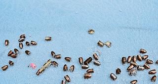 Querschl&auml;ger. &Uuml;ber 50 Projektile hat Karl Lochmatter in den &shy;letzten Jahren rund um sein Heimatji gefunden. Die Projektile sind wahrscheinlich von den B&auml;umen hinter dem Schiessstand auf sein Grundst&uuml;ck abgeleitet worden.