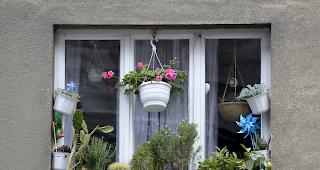 Insgesamt sind die Mietpreise gegen&uuml;ber dem Vorjahr um ein halbes Prozent zur&uuml;ckgegangen.