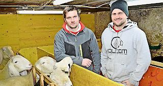 Daniel (links) und Richard Zurbriggen im Stall bei den Saaser Mutten.