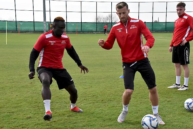 Die engagierten Sitten-Spieler auf ihrem Trainingsplatz in Belek.