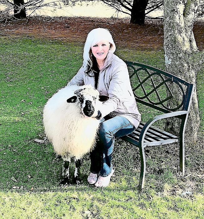 Reni Melvin, Direktorin der «Valais Blacknose Sheep Association of North America», darf bislang erst Samen von Schwarznasen-Widdern importieren. Fotos: zvg