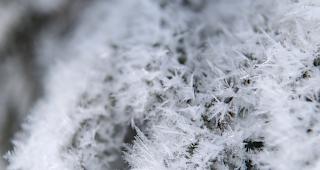 Auch die kommenden Tage werden frostig. 