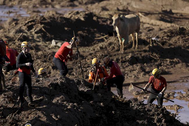 Nach einem Dammbruch in einer Eisenerzmine im brasilianischen Bundesstaats Minas Gerais sind bisher 60 Todesopfer bestätigt worden. Hunderte Personen werden noch vermisst. 