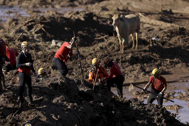 Nach einem Dammbruch in einer Eisenerzmine im brasilianischen Bundesstaats Minas Gerais sind bisher 60 Todesopfer bestätigt worden. Hunderte Personen werden noch vermisst.