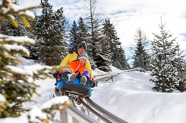 Adrenalinkick. Die 1,7 Kilometer lange Rodelbahn schlängelt sich am südlichen Rand der Skipiste «7 Standard» von Blauherd bis zur Talstation der Kombibahn auf Sunnegga hinunter.