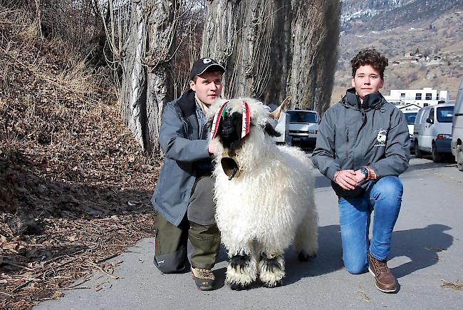 Die Nachwuchssiegerin 2019 kommt aus dem Betrieb der Familie Beat Escher aus Termen. 