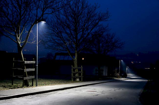 Die Broschüre der DWFL führt auf 56 Seiten aus, wie die von Kunstlicht erzeugten Lichtglocken verringert werden können.