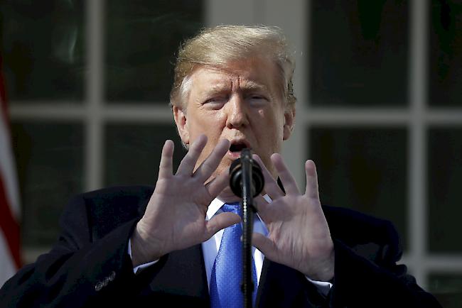 Donald Trump erklärt nationalen Notstand.