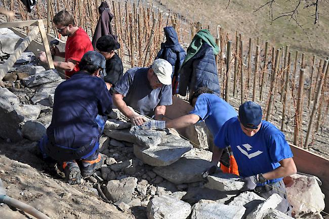 Gut 20 Maurerlehrlinge lernen am Kulturweg, wie eine Trockensteinmauer aufgebaut sein will.