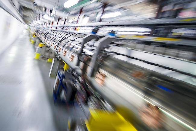Grünes Licht für das neue "Faser"-Experiment im Cern.
