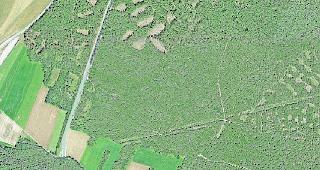 Die Industrialisierung hatte auch Auswirkungen auf den Pfynwald. Weideland wurde nicht mehr genutzt, offene Fl&auml;chen verschwanden. 