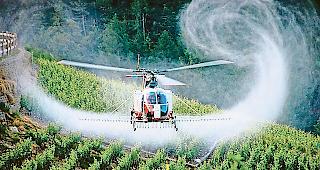 Fliegt auch bald in der Region St. German &ndash; ein Spritzhelikopter.