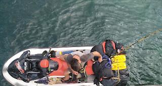 Die australischen Beh&ouml;rden gaben am Mittwoch bekannt, dass sie einen Mann in Gewahrsam genommen haben, der Berichten zufolge als 57-j&auml;hriger britischer Fl&uuml;chtling wegen Drogendelikten in Westaustralien gesucht wurde. Der Verd&auml;chtige wurde nach einer Verfolgungsjagd in der Strasse von Torres auf der Insel Saibai festgenommen.