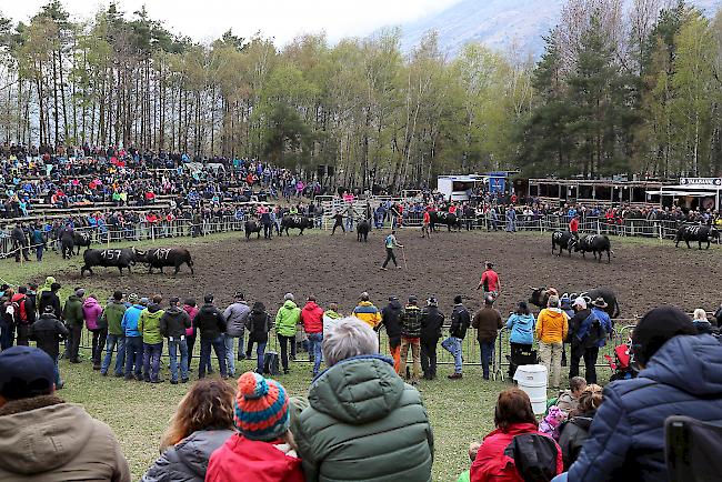 Impressionen vom ersten Frühjahrsmatch 2019 im Rarner Goler. 