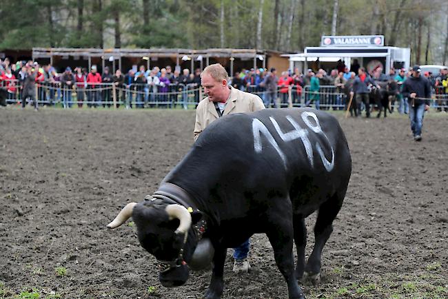 Impressionen vom ersten Frühjahrsmatch 2019 im Rarner Goler. 