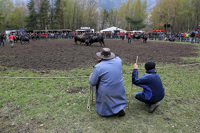 Impressionen vom ersten Frühjahrsmatch 2019 im Rarner Goler. 