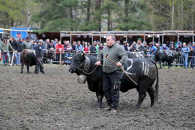 Impressionen vom ersten Frühjahrsmatch 2019 im Rarner Goler. 